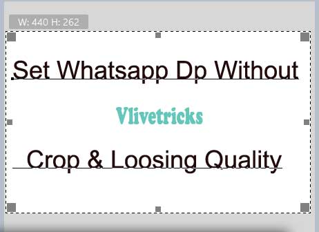 Set Whatsapp Profile Dp Full Size Picture Without Crop Loosing Quality Vlivetricks