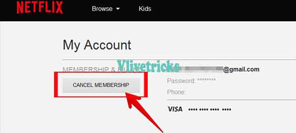 netflix-cancel-membership button
