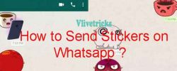 Send Stickers on Official Whatsapp