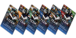 $100 steam wallet gift card