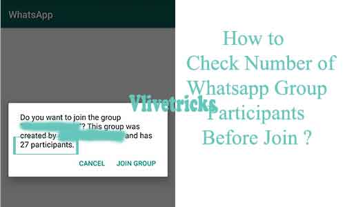 How To Check Number Of Whatsapp Group Participants Before Join Vlivetricks