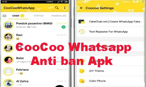 coocoo whatsapp app