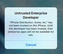 fix untrusted enterprise developer error on iphone